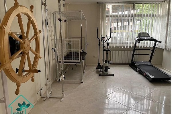 عکس داخلی از خانه سالمندان گل های شمعدانی